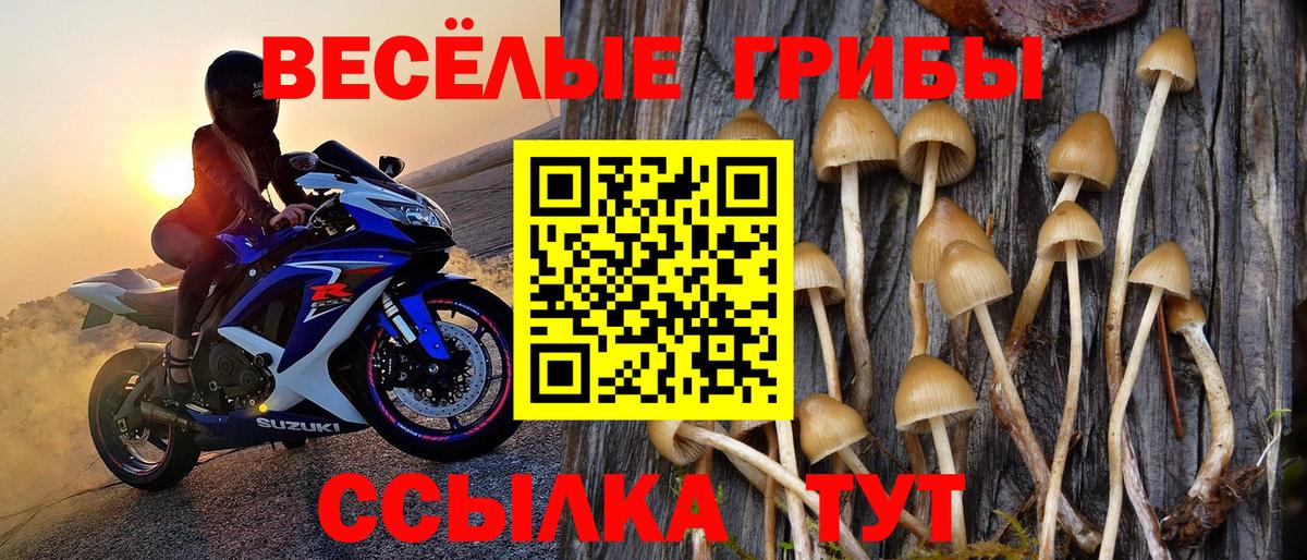 Галлюциногенные грибы Magic Shrooms Кызыл