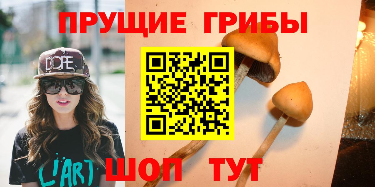 закладки  Галлюциногенные грибы Magic Shrooms  Галлюциногенные грибы GOLDEN TEACHER  Вход с VPN  Кызыл 